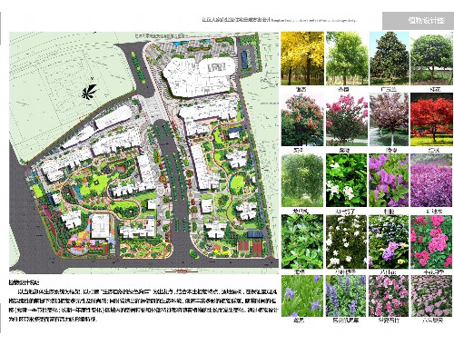 市政园林绿化工程花箱