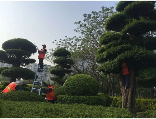 云南园林绿化工程师证编号